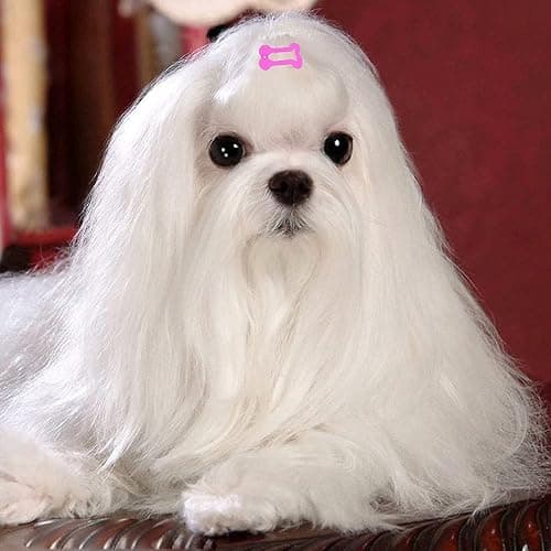PET SHOW 50Pcs/25Pairs Hair Clips for Small Dogs Cute 1 Inch Puppy Barrettes Mini Bone Shaped Snap Hair Bows Pet Grooming Hair Accessories for Dog Cat thumbnail 6