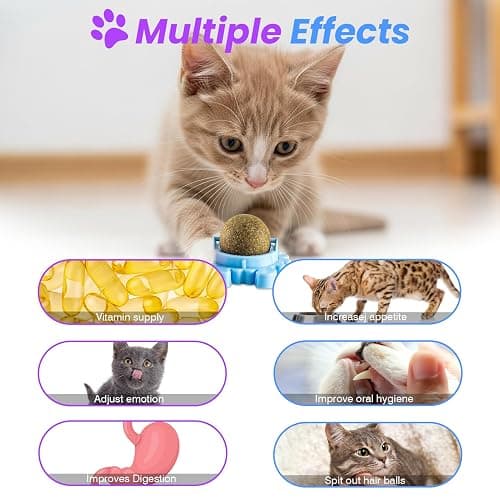 Kadays Catnip Balls for Indoor Cats 4 Pack Wall Mounted Rotatable Cat Toys Teeth Cleaning and Stress Relief Adhesive Catnip Stick on Wall Toys Interactive Chew for Kittens Play Entertainment thumbnail 2