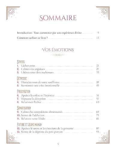 Le Grand Livre des Power Soins - 33 solutions d'urgence au trop-plein émotionnel: 33 solutions d'urgence au trop-plein émotionnel thumbnail 4