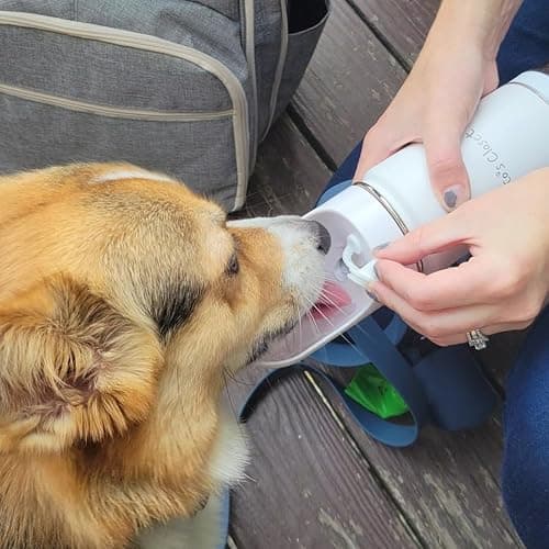 Tito's Closet Portable Dog Water Bottle, 14oz High-Grade Stainless Steel, Leakproof Design Pet Water Bottle with Treat Holder, White thumbnail 6