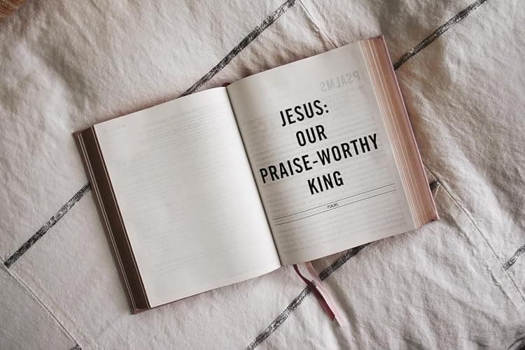 The Jesus Bible, ESV Edition, Leathersoft over Board, Pink thumbnail 7
