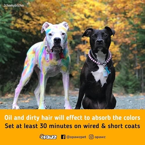 Doggie hair dye  thumbnail 5
