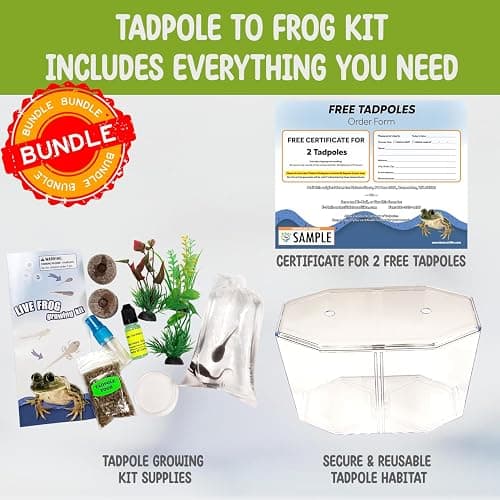 Tadpole to Frog Kit with Certificate for 2 Live Tadpoles, All-in-One Bundle | Watch metamorphosis with this complete tadpole kit, an all-in-one bundled engaging science project thumbnail 3