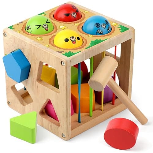 Coogam Wooden Montessori Toys for Toddlers, Shape Sorting Cube Fine Motor Skills Game for Year Old 18 Month+ Baby Boys Girls Gift - Image 1