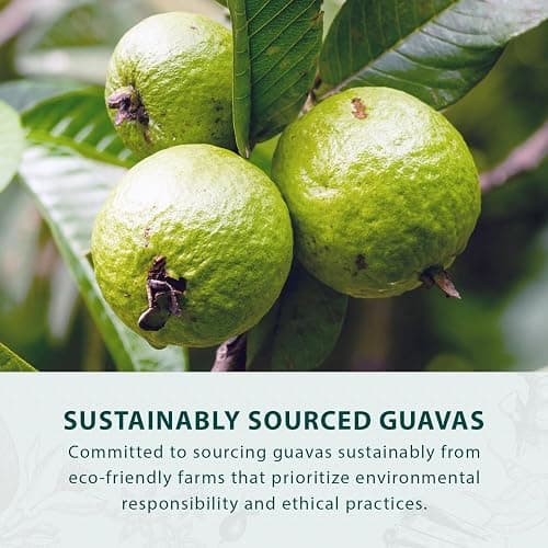 Hongyuan Guava Candy, 12.3 oz (Pack of 1) Asian Fruit Hard Candy, Sweet & Tangy Tropical Flavor, Individually Wrapped for Sharing & Snacking thumbnail 5