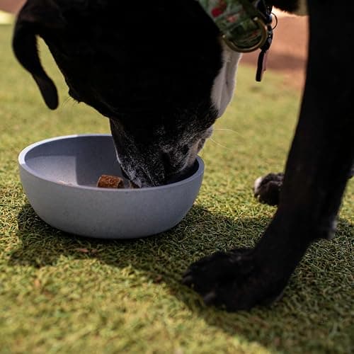 Loving Pets - Dolce Bamboo - Eco-Friendly Pet Bowls & Dishes for Dog, Cats, Puppy Food and Water Bowl -Sustainable and Dishwasher Safe, Made with Real Bamboo (Small, Slate-Grey) thumbnail 4