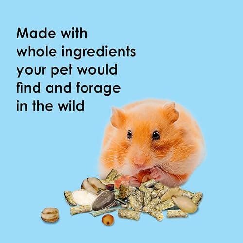 Kaytee Food from The Wild Natural Pet Hamster Food, 2 Pound thumbnail 3