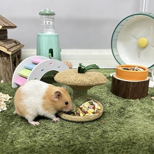 Jwizyotr 2PCS Hamster Chew Toys for Teeth Guinea Pig Treats Hamster Stuff Cage Accessories for Chinchilla Guinea Pig Rat thumbnail 4