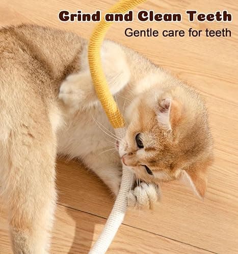 Dgerp Cat Chew Ropes 4Pcs, Cat Toys for Indoor Cats with Refillable Natural Catnip, Safe Teeth Cleaning Chew Toys, Interactive Kitten Nip Toys and All Breeds (19.5 Inches) thumbnail 4
