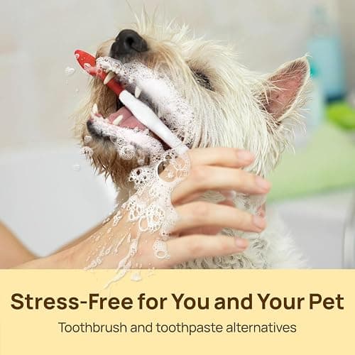 HICC Pet Teeth Cleaning Wipes for Dogs & Cats, Vet-Recommended Remove Bad Breath & Plaque & Tartar Buildup, Dog Tooth Brushing Kit, Dog Breath Freshener, Dogs Toothbrush & Toothpaste Alternatives thumbnail 6