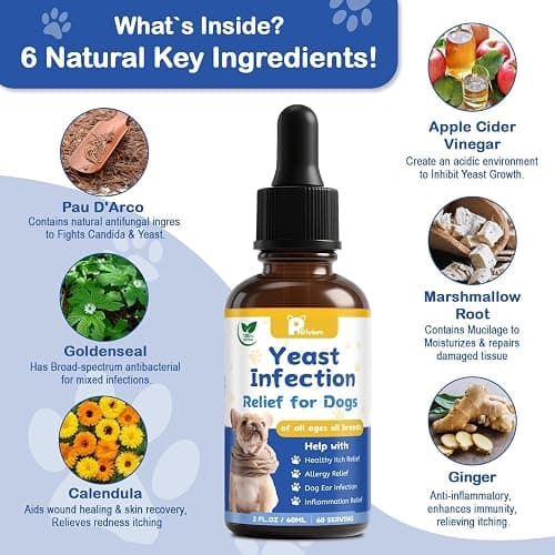 Yeast Infection Treatment for Dog, Natural Dog Yeast Infection Relief for Itchy Skin & Ear - Allergy & Paw Itching, Soothes Irritation & Reduces Inflammation Herbal Dog Supplement Drops thumbnail 4