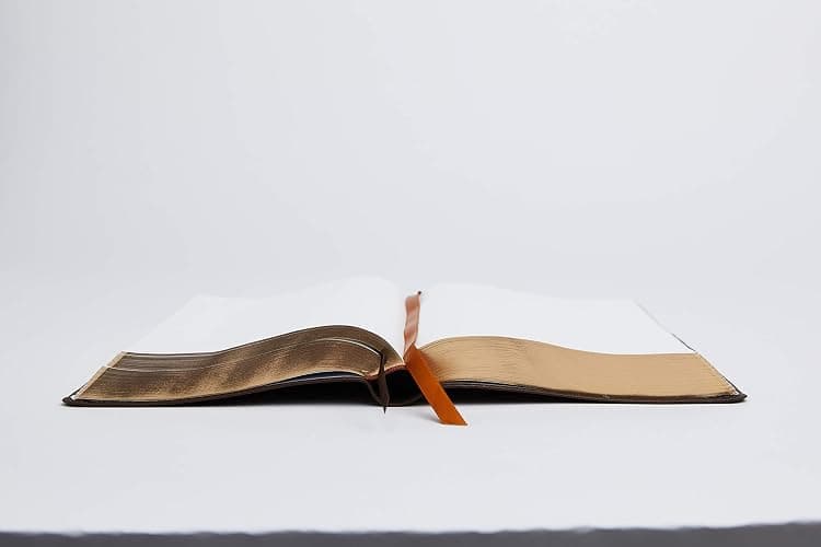 NRSV, Catholic Bible, Journal Edition, Leathersoft, Brown, Comfort Print: Holy Bible thumbnail 13
