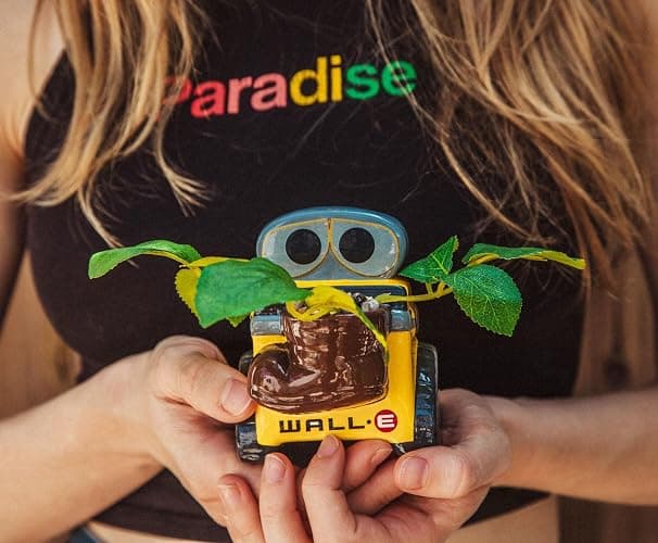 Silver Buffalo Disney Pixar Wall-E 4-Inch Ceramic Mini Planter with Artificial Succulent | Cute Small Flower Pot, Faux Indoor Plant for Desk Shelf thumbnail 2