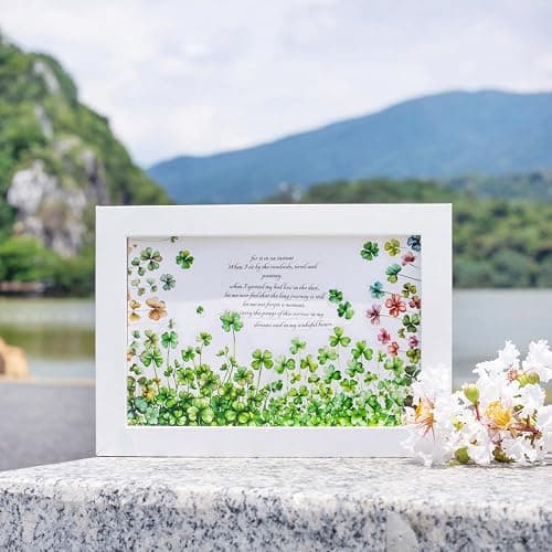 AurriiLeaf Viewing Flowers PET Sticker Set, 120PCS Floral Ephemera for Scrapbooking, Journaling, Crafting, DIY Projects, Diaries, and Art Supplies thumbnail 6