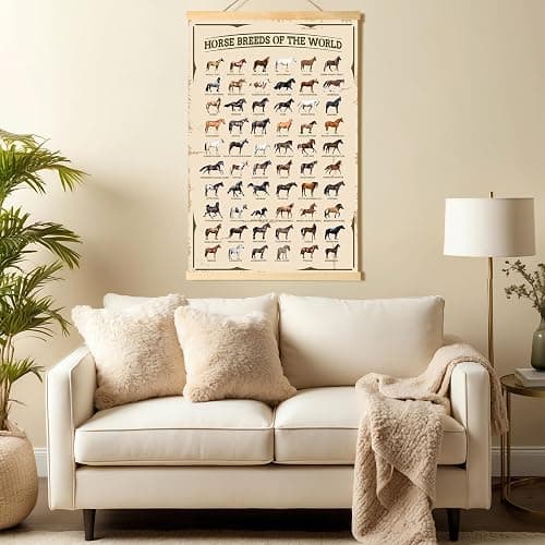 EIHFHIE Horse Gifts for Girls Horse Poster Horse Knowledge Horse Breeds of The World Poster Horse Pictures Wall Decor Gifts for Horse Lovers 16x25 In thumbnail 6