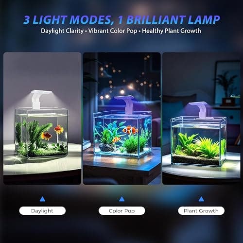 FluviRay Mini Clip-On Aquarium Light 7W USB Dimmable Fish Tank Lamp with 3 Light Modes (Full Spectrum/White/RGB), 9-Level Brightness, Compact LED Light for 1–3 Gallon Aquariums thumbnail 2