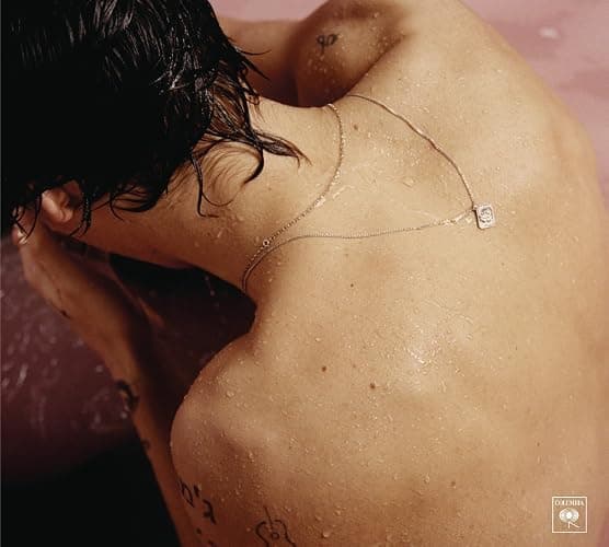 Harry Styles: Harry Styles - Image 1