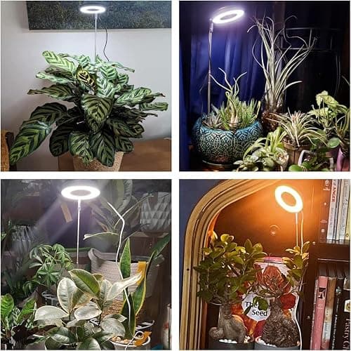 Aokrean Plant Grow Light, 48 LEDs Full Spectrum Grow Lights for Indoor Plants, Height Adjustable Small Halo Grow Light with Base, 3 Optional Spectrums, Auto Timer 3/9/12Hrs, 10 Brightness, 3 Pack thumbnail 2