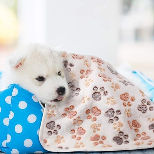 Tatuo 4 Pcs Dog Blanket for Pet Puppy Teething Toys Paw Print Fleece Blanket for Pet Cat Soft Warm Sleep Mat Guinea Pig Cage Mat(Small(24 x 16 Inch),White, Coffee, Pink, Purple) thumbnail 7