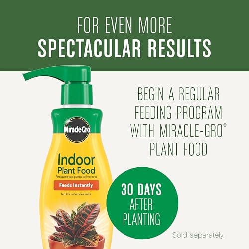 Miracle-Gro Houseplant Potting Mix: Fertilized, Perlite Soil for Indoor Gardening, Designed to Be Less Prone to Gnats, 4 qt. thumbnail 3