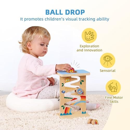 OOOK Montessori Toys for 1 Year Old, 6 in 1 Wooden Educational Toys for 1 Year Old with Cylinder Block, Ball Drop, Nesting Cups, Sorting Drop Box and More. Perfect Montessori Gift for 12-18 Months. - Montessori Play Kit for 13-15 Months thumbnail 4