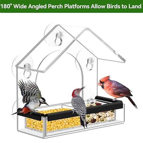 Clear Window Bird Feeder with 5 Extra Strong Suction Cups, DY-SKTY Sturdy and Durable Acrylic Birdfeeders for Viewing Wild Birds Outside, as a Bird Watching Gift, Outdoor Birdhouse Box, Garden Decor thumbnail 7