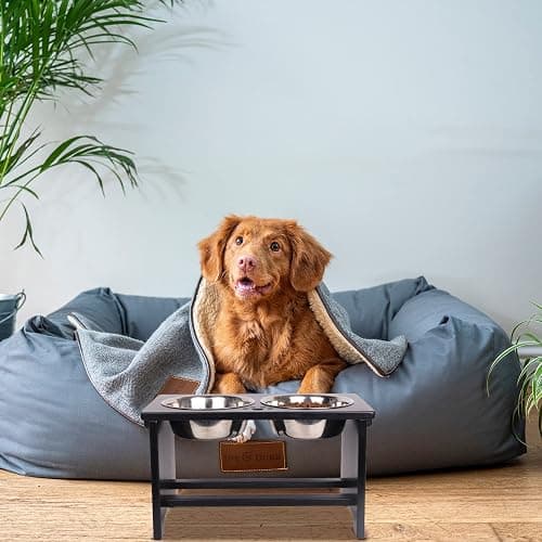 HTB Elevated Dog Bowls,Raised Dog Bowl Stand with 2 Stainless Steel Bowls,Elevated Raised Dog Bowls for Large Medium Small Sized Dogs thumbnail 7