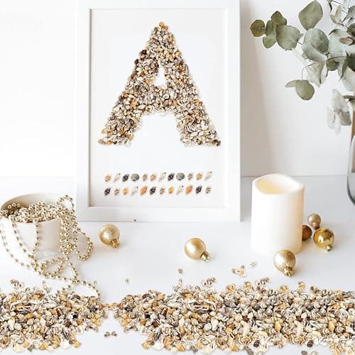 WEOXPR 2000 Pcs Tiny Sea Shells for Craft, Mixed Ocean Beach Mini Seashells | 2000 tiny sea shells, mini seashells bulk, mixed ocean shells, crafting, DIY, fish tank, vase decor thumbnail 4
