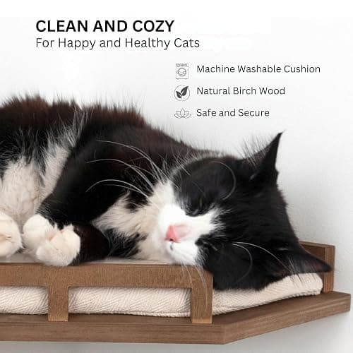 INICIO Cat Wall Shelves - Safe and Sturdy Cat Wall Furniture - Stylish Natural Wood Corner Shelf with 3 Steps for Cats up to 15lbs - Cushioned Perch and Stairs for Climbing and Playing - Dark Brown thumbnail 5