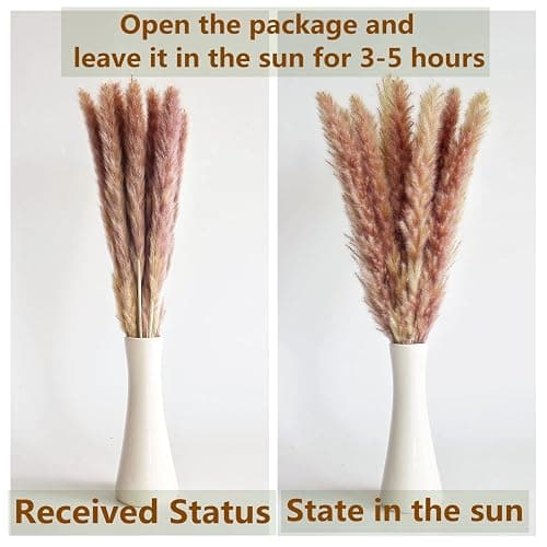 110 PCS of Boho Pampas Grass Decor, Naturally Dried Pompas, Bunny Tails Dried Flowers, and dried eucalyptus. Perfect for Weddings, Boho Party Decorations, and Table Decor. thumbnail 6