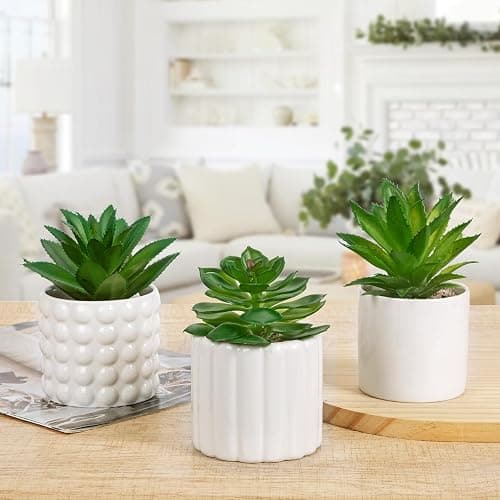Briful Succulents Plants Artificial in White Ceramic Pots (Set of 3), Small Fake Plants for Home Office Desk Decor – Modern Mini Potted Succulents for Bathroom, Bedroom, Living Room Table, Shelf thumbnail 5