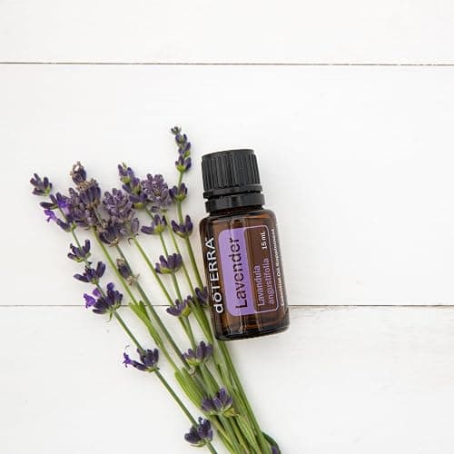 doTERRA Lavender Essential Oil - 15 ml (Lavender) thumbnail 6