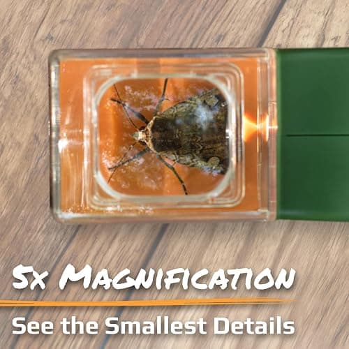 Portable Magnifying Glass Insect Trap thumbnail 3