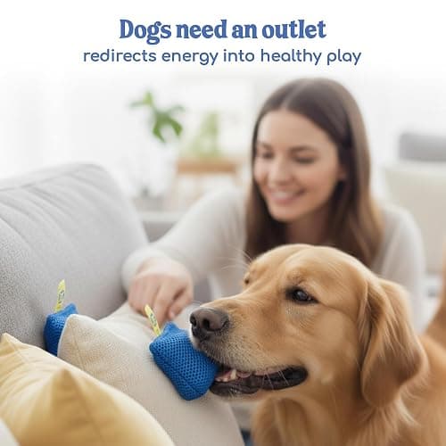 Race&Herd Original Dog Scent Training Kit, Scent Work Training Kit for Dogs - Nosework for Dog Mental Stimulation Agility Training Equipment for Dogs, Brain Games Smell Training Kit for Loss of Smell thumbnail 6