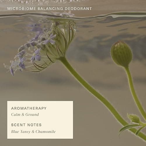 Oak Essentials Microbiome Balancing Deodorant | Aluminum-Free, Clean Deodorant with Blue Tansy for All-Day Odor Protection, 1.7 Oz thumbnail 6