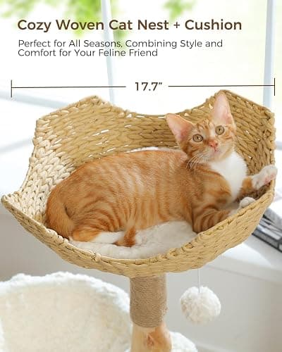 MUTTROS Modern Cat Tree for Large Cats, Wood Cat Tower for Indoor Cats, Real Branch Luxury Cat Furniture with Super Large Cozy Condo and Hammock & Scratching Post, Top Basket, White thumbnail 4