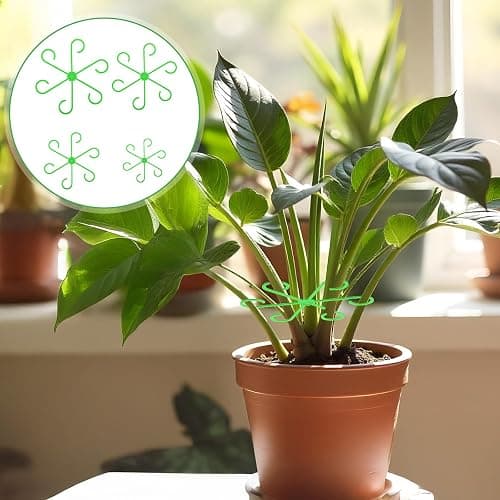 Qianyu 20pcs Climbing Cage Houseplant Stem Supports Plant Climbers Holders Reusable Plastic Flower Stakes Trellis Stem Hook Growth Accessories for Garden Thriving Growth (4 Sizes) thumbnail 2