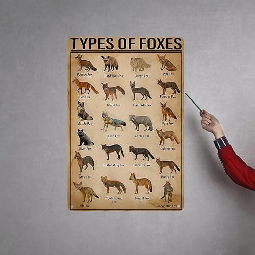 HYBLOM Vintage Types Of Foxes Metal Tin Sign - Educational and Decorative - Gift Wildlife Enthusiasts and Nature Lovers - Aluminum Poster for Home and Classroom 8x12 Inches thumbnail 7