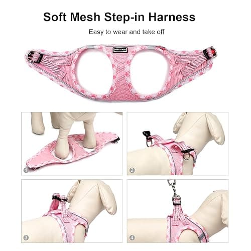 Mercano Soft Mesh Dog Harness and Leash Set, No-Chock Step-in Reflective Breathable Lightweight Easy Walk Vest Harnesses with Safety Buckle for Small Dogs, Cats (Pink, S) thumbnail 7