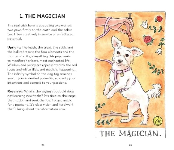 Dog Tarot thumbnail 7