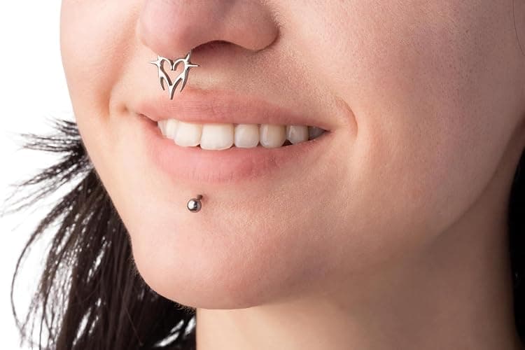 Pierced Owl 16GA ASTM F-136 Implant Grade Titanium Spiked Heart Hinged Segment Clicker Ring thumbnail 3