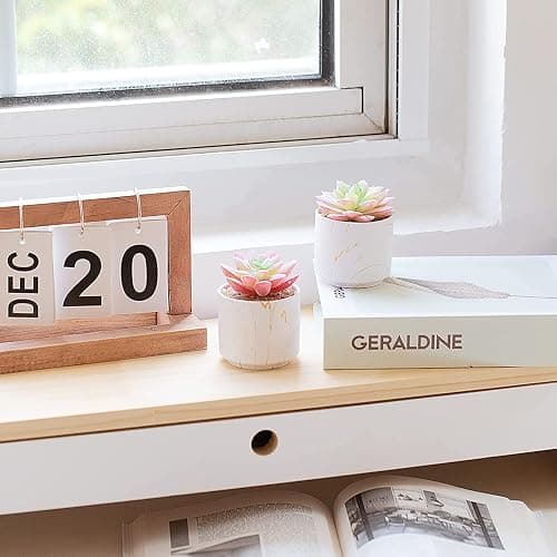 zenmag Succulents Plants Artificial, Mini Fake Succulents in White Ceramic Pots for Desk Livingroom Bathroom and Home Decoration Office Decor for Women Set of 2 Artificial Succulents thumbnail 6