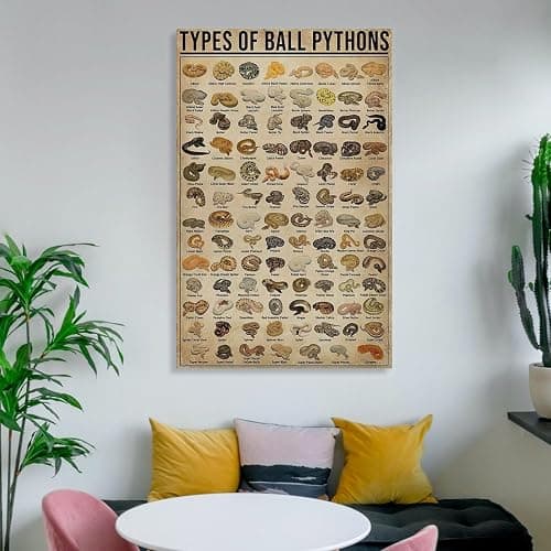 AMZPOSTERLN Vintage Snake Breeds Poster Knowledge Canvas Art Aesthetic And Wall Art Picture Decor Poster12x18inch(30x45cm) thumbnail 6