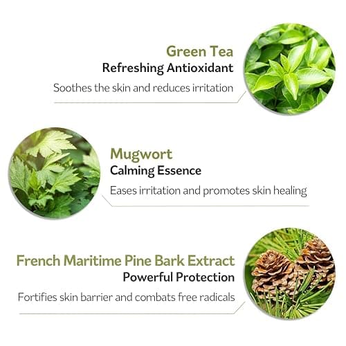 PESTLO PESTLE + ROAD Spicule Re-Born Exfoliating Peeling Mask 4.23 oz./120ml - Gentle Exfoliation, Nourishing, Hydrating, Sebum Control, Soothing, Radiant Skin, Pore Tightening thumbnail 3