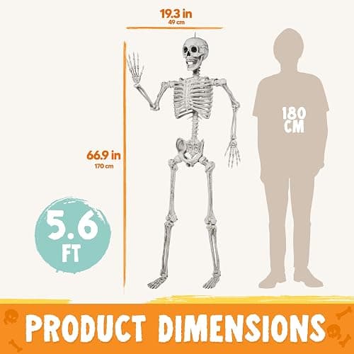 JOYIN 5.6 FT Halloween Posable Life Size Skeleton Full Body Realistic Bones with Movable Joints for Halloween Indoor and Outdoor Decoration Props Spooky Scene Party Decorations (White) thumbnail 3