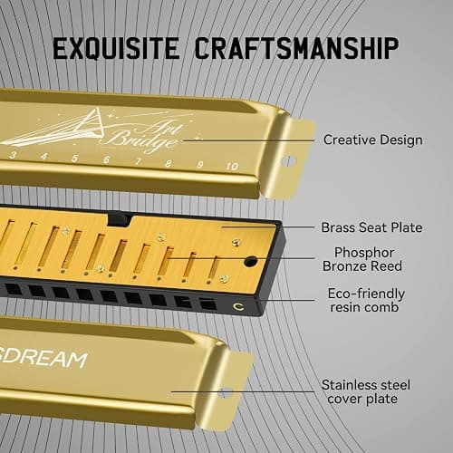 SDREAM Harmonicas for Adults Beginner,C Key Blues Harmonicas for Professional Musicians, Students,Harmonica 10 Holes 20 Tones,Diatonic Harmonica with Case,As a Gift(Gold, 10 holes blues primary) thumbnail 2