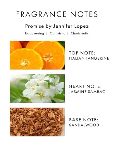 Jennifer Lopez Promise Perfume, Eau De Parfum Spray 3.4 Fl Oz (100 ml) Floral Woody Womens Perfume, Notes of Citrus, Amber, Dewy Honeysuckle thumbnail 5