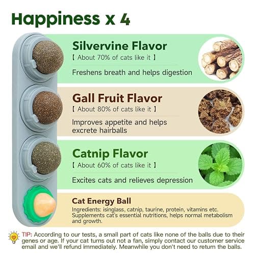 Potaroma 4 Catnip Silvervine Ball Toys, Extra Cat Energy Ball, Edible Cats Lick Kitten Chew, Teeth Cleaning Dental Wall Treats, Concentrated Flavor for All Breeds thumbnail 2