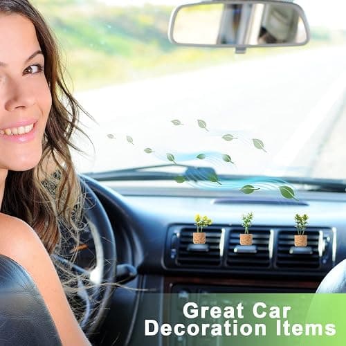 succulent car air fresheners thumbnail 7
