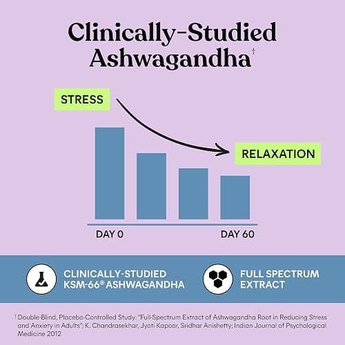 Lemme Relax Soft Chews with Magnesium Glycinate & Citrate, KSM-66 Ashwagandha + L-Theanine to Support Stress Relief, Cortisol Levels, Mood & Healthy Sleep Cycles, BlackBerry Lemonade (30 Chews) thumbnail 6